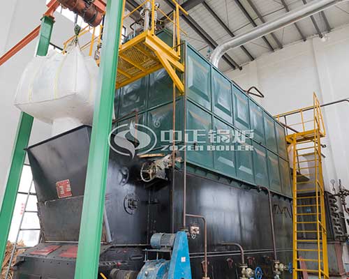 Biomass fired steam boiler