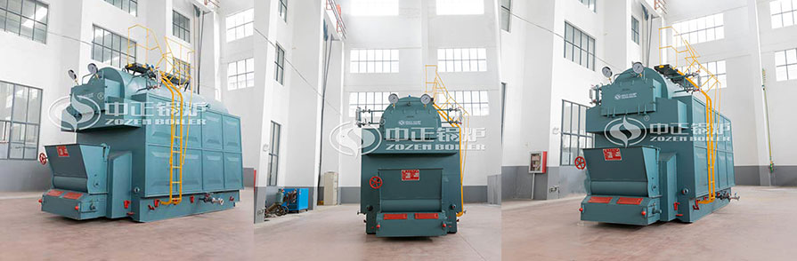 Layer Combustion Boiler