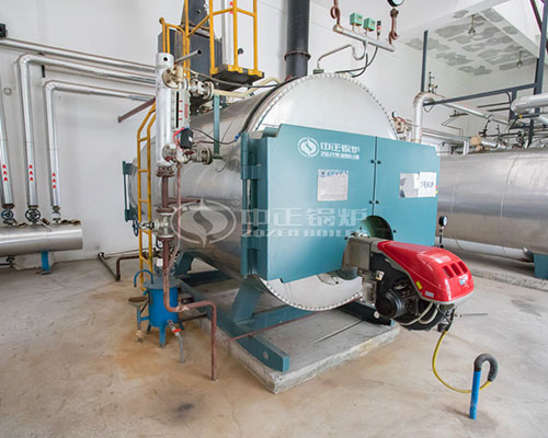 Efficient LPG steam boiler