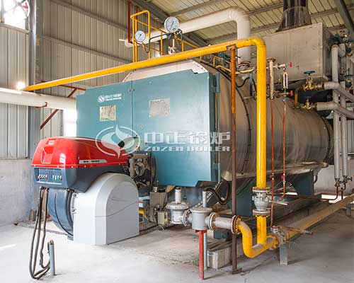 Oil fired steam boilers