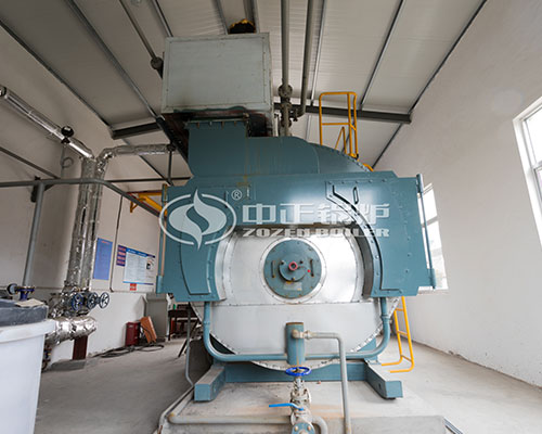 Gas steam boiler manufactured