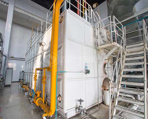 Gas fired water-tube boiler