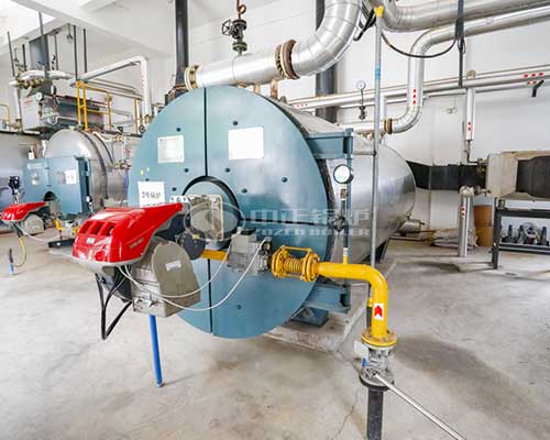 Thermal oil boilers manufacturer