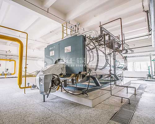 Condensing gas steam boiler