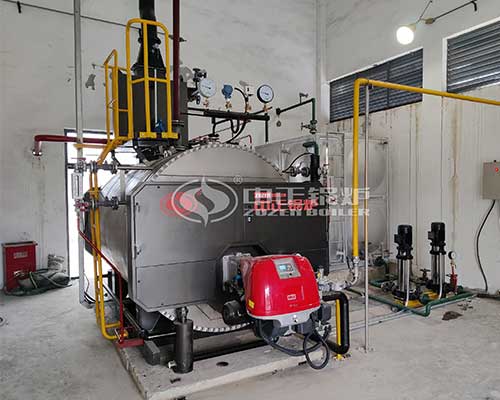 Gas steam boiler system