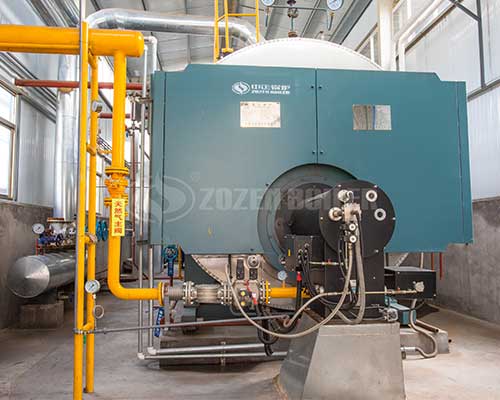Industrial WNS series boilers