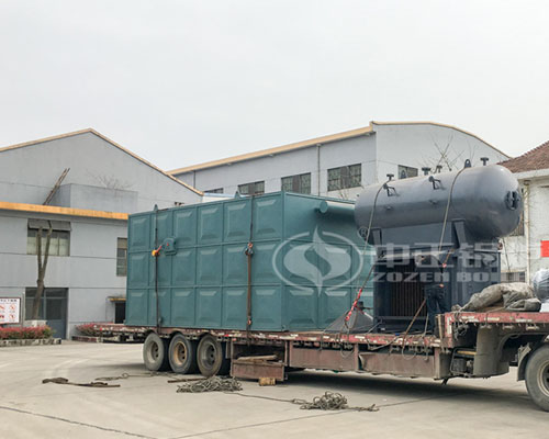 Biomass thermal oil boiler