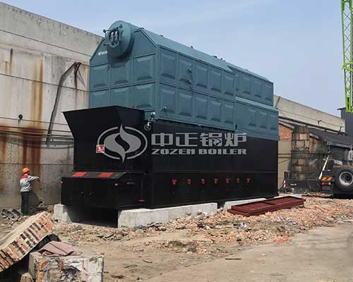 Biomass-fired boilers