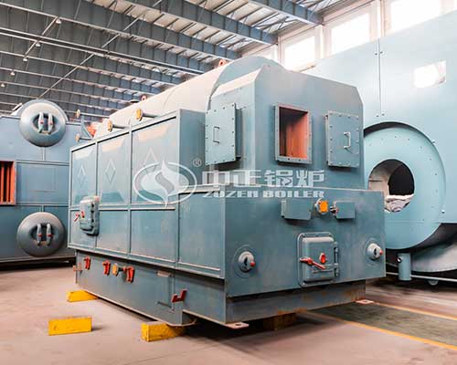 Biomass steam boiler technology