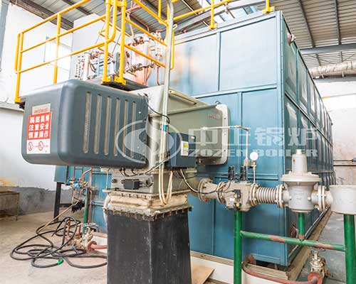 D type water tube boiler