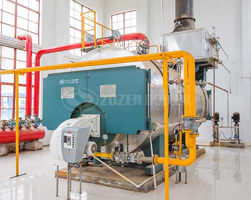 WNS type gas boilers