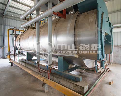 WNS type steam boiler