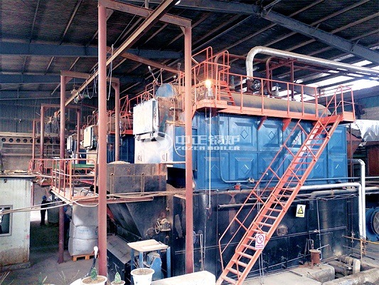 Biomass wood-fired boiler