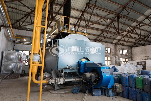 WNS oil-fired steam boiler