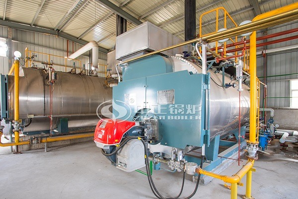 6 tons of gas steam boiler