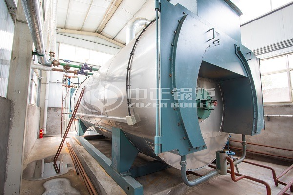 Gas steam boiler