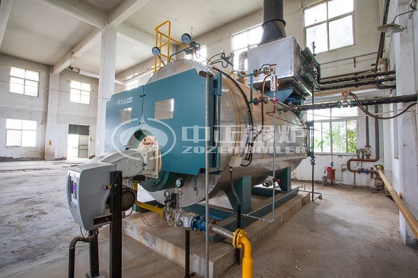 LPG steam boilers