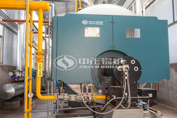 Low nitrogen gas boiler