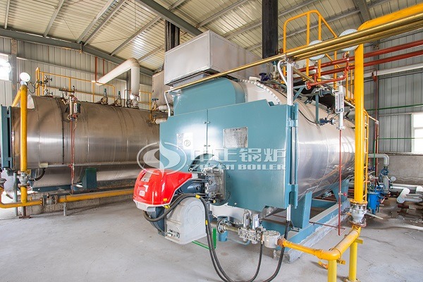 6 Tons gas steam boiler