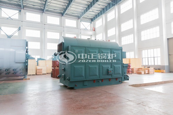 Biomass chain grate boiler