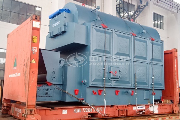 Biomass steam boiler supply