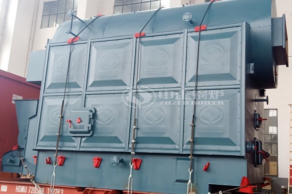 Chain grate biomass steam boiler