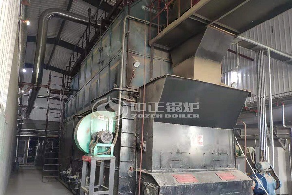 Coal fired steam boiler