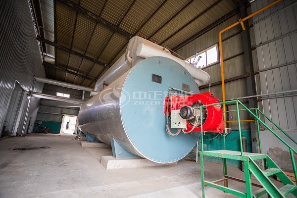 Industrial thermal oil boilers