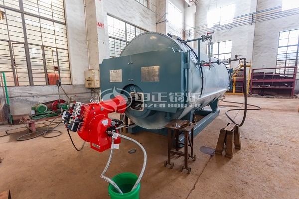 Natural gas steam boilers