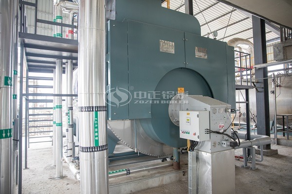 WNS series boiler