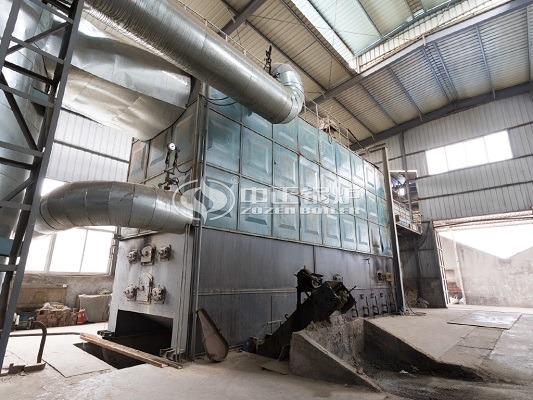 Coal-fired thermal oil boilers