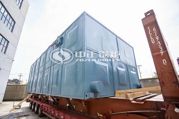 Coal fired thermal oil boiler