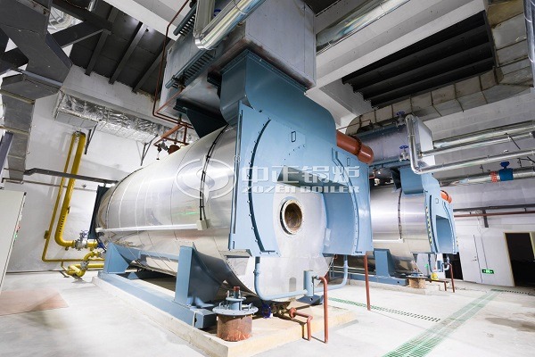 Industrial LPG steam boilers