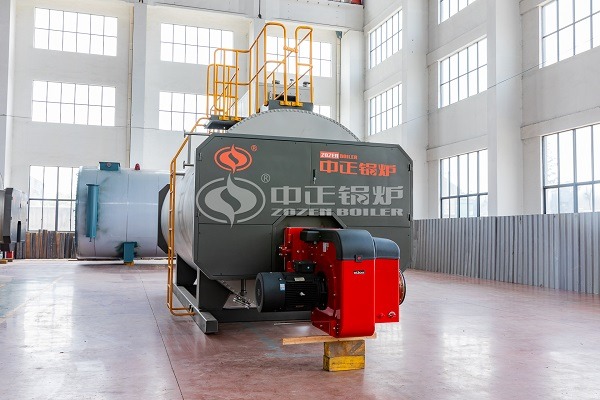 Low nitrogen gas boiler