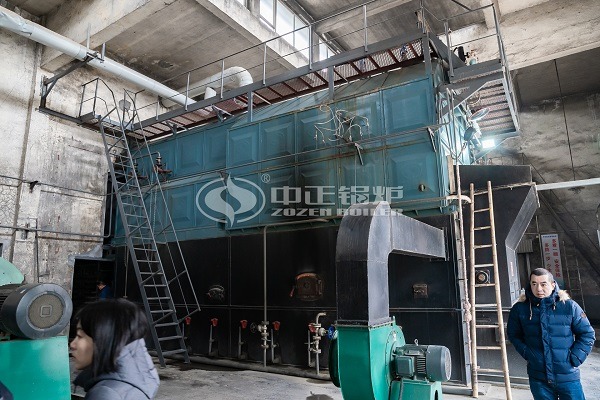 Pellet fuel steam boiler