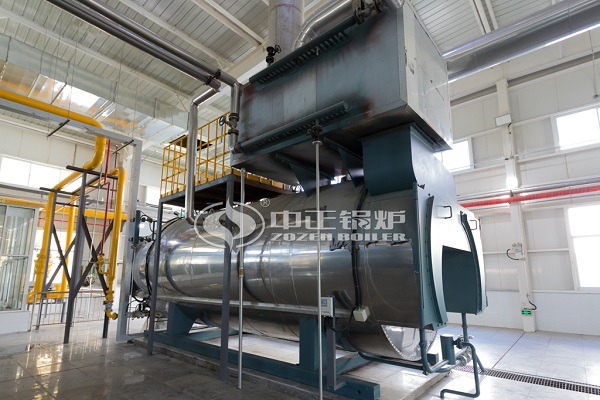 WNS type gas boiler