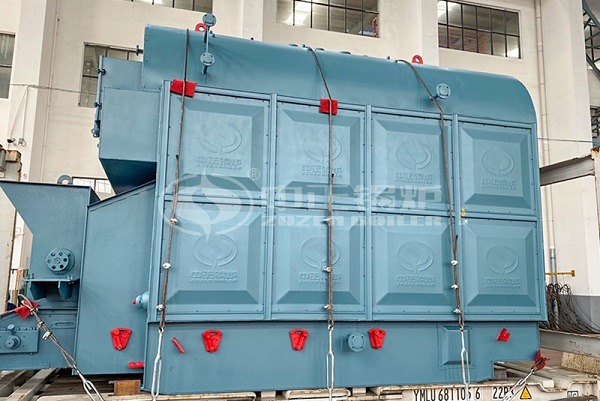 Biomass steam boiler