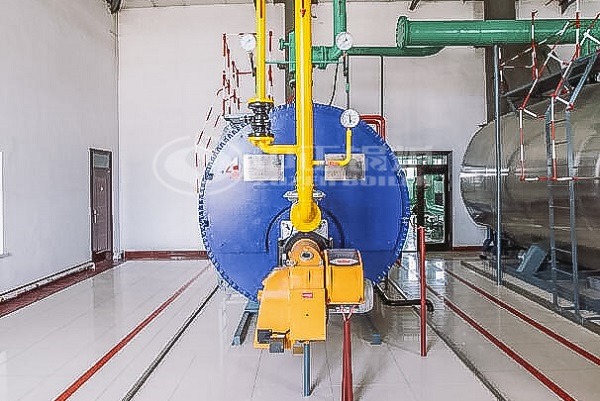 Oil gas steam boiler