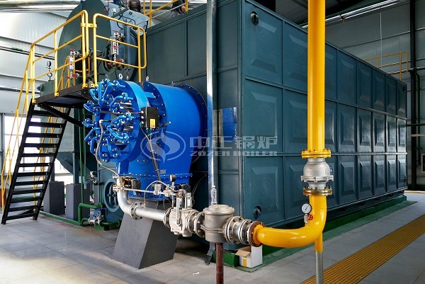 25 Tons SZS gas boiler