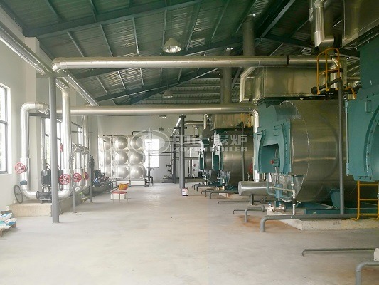 Gas hot water boiler