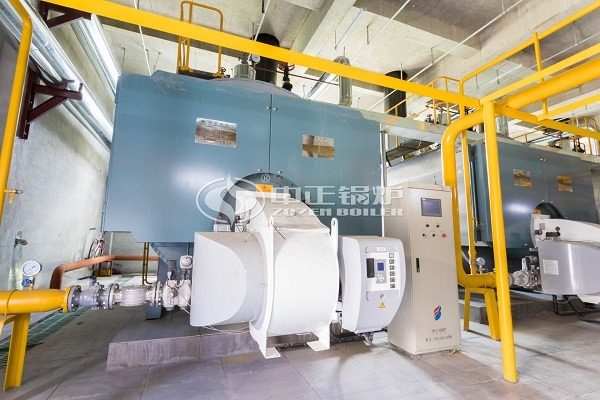 WNS series gas boiler