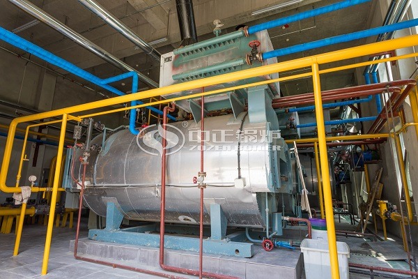 Gas-fired steam boiler