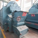 Professional DZL Series Biomass Steam Boilers For Sale