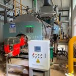 WNS Natural Gas Steam Boiler System